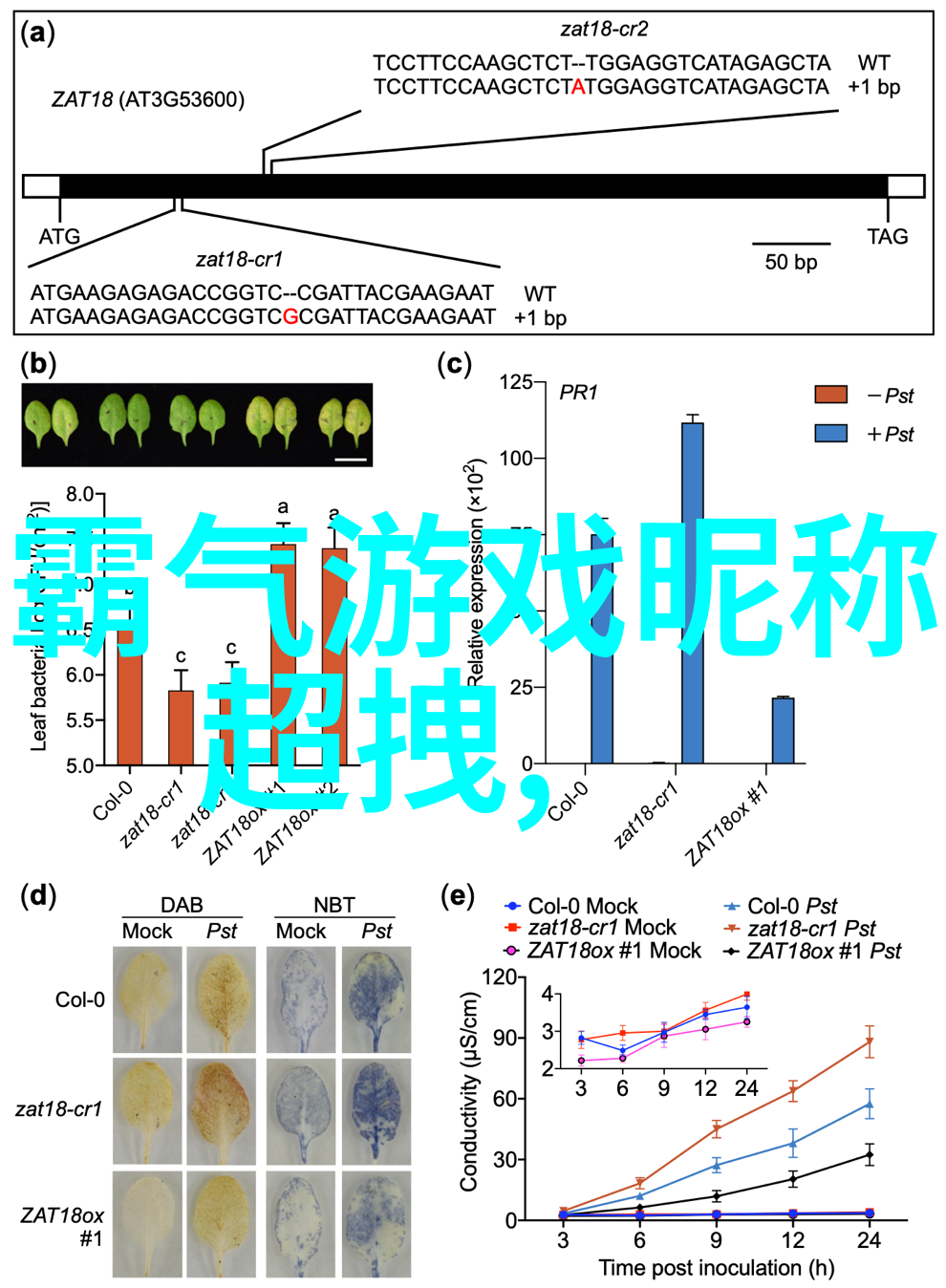 小说觉醒七零他离婚奔自由池钊韩美兰池钊全文阅读_小说觉醒七零他离婚奔自由池钊免费阅读韩美兰池钊笔趣阁